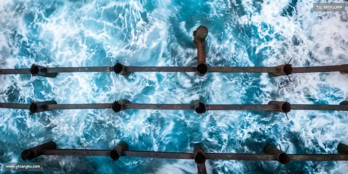 米兰milan官网每一次挥拍 / 奔跑 / 跳跃，都是对自己的馈赠！🏐💨